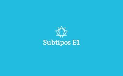 Subtipos del eneatipo 1