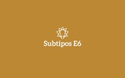 Subtipos del eneatipo 6